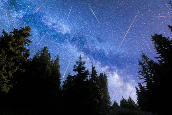 Mavi Samanyolu düşen yıldızlar çam ağaçları siluet — Stok fotoğraf