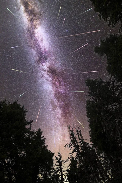 Purple Milky way falling stars pine trees silhouette — Stock Photo, Image