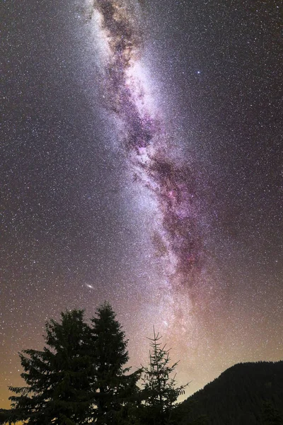 Фіолетовий Чумацький спосіб падаючі зірки соснові дерева силует — стокове фото