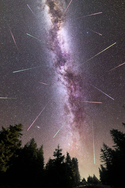 Lila Milchstraße fallende Sterne Kiefern Silhouette — Stockfoto