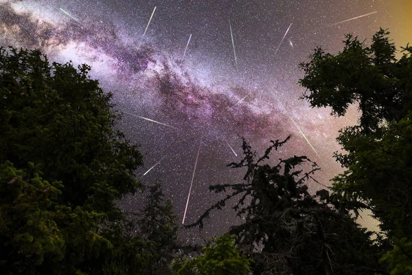 Purple Milky way falling stars pine trees silhouette — Stock Photo, Image