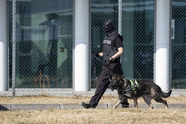 Customs and border protection officer and dog — Stock Photo, Image