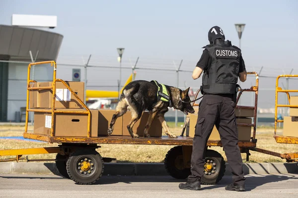 Bea Cukai dan petugas perlindungan perbatasan dan anjing — Stok Foto