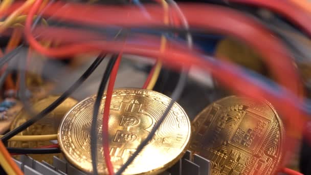 仮想暗号通貨お金異なるカラフルなケーブルに囲まれたコンピュータプリント基板Pcb上のビットコイン黄金のコイン お金の未来 計算機 — ストック動画