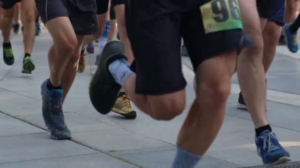 Sofia Bulgaria Agosto 2019 Corridori Partecipano Una Maratona Corsa Filmati — Video Stock