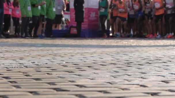 Bieg Maratonu Tylko Nogi Ciała Nierozpoznawalni Ludzie Maraton Jest Długodystansowym — Wideo stockowe
