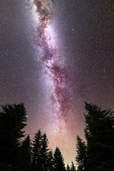 Uma Vista Chuveiro Meteoros Láctea Roxa Com Pinheiros Silhueta Florestal — Fotografia de Stock