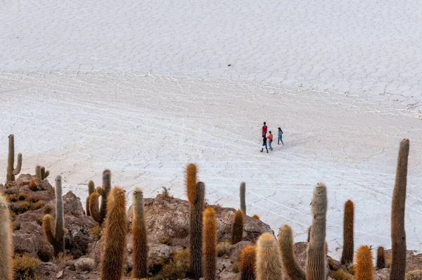 Salt flat of Bolivia landscape — Stock Photo, Image