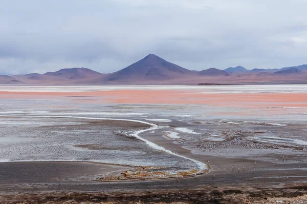 Laguna Colorada en Bolivie altiplano — Photo