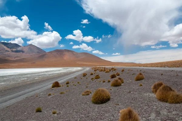 Laguna Chulluncani in Bolivia altiplano — Stock Photo, Image