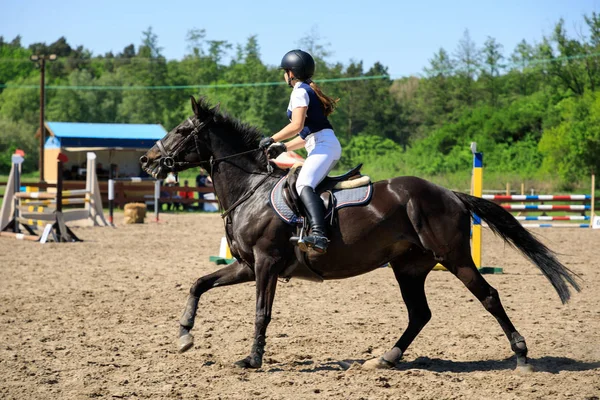 Horse rider on an equestrian event