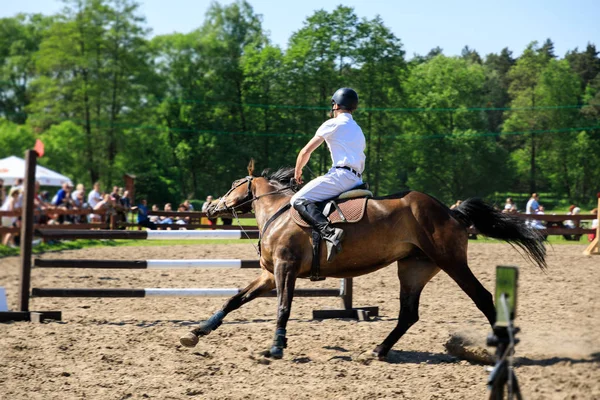 Caballo Jinete Está Saltando Sobre Los Obstáculos Evento Ecuestre —  Fotos de Stock