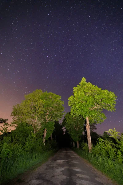 Camino Campo Bajo Cielo Estrellado — Foto de Stock