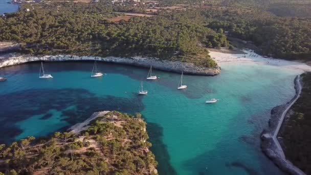 Antenn Stranden Cala Mondrago Mallorca Spanien — Stockvideo