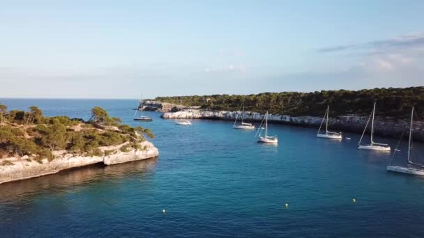 航空写真 ビーチのカラ モンドラゴ マヨルカ スペインの — ストック動画