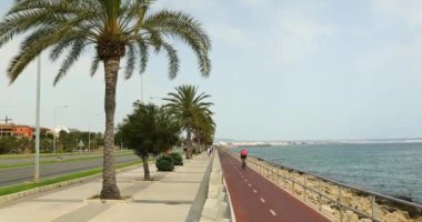 Palma de Mallorca, İspanya - 07 Temmuz 2018: bisikletçiler arasında şehrin alan gezinti yolu üzerinde Bisiklet şeritli at binme