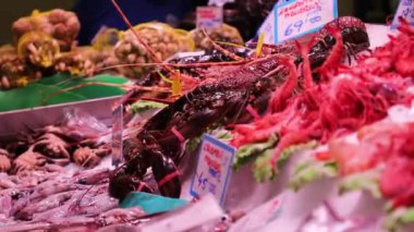 Buz üstünde belgili tanımlık sayaç üzerinde canlı ıstakoz