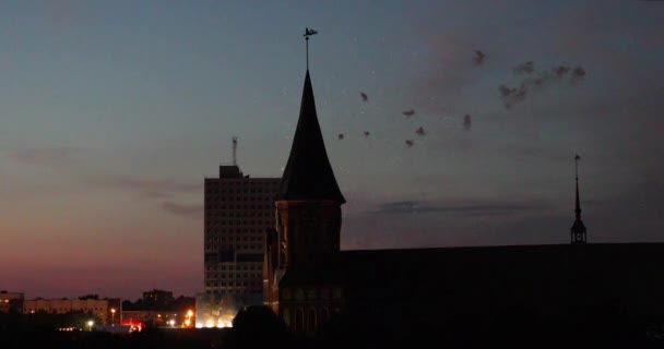 Fuegos Artificiales Sobre Catedral Kaliningrado Final Copa Del Mundo 2018 — Vídeos de Stock