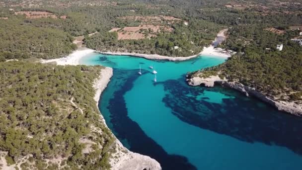 Antenn Cala Mondrago Stranden Mallorca Spanien — Stockvideo