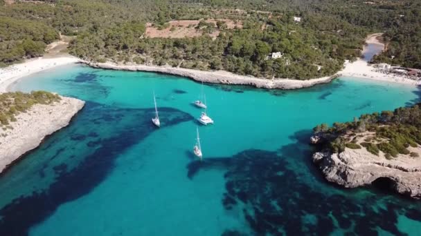 Aerial Cala Mondrago Beach Mallorca Spain — Stock Video