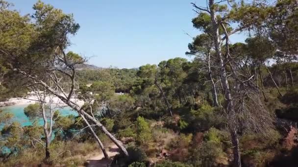 Cala Mondrago Stranden Genom Träden Mallorca Spanien — Stockvideo