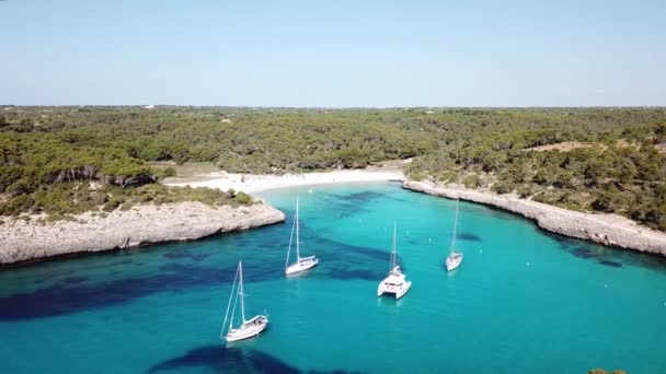 Aérea Playa Cala Mondrago Mallorca España — Vídeos de Stock