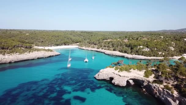 航空写真 マヨルカ スペインのカラ モンドラゴ ビーチ — ストック動画