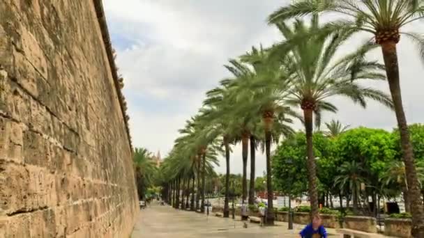 Time Lapse Traslado Personas Una Calle Palma Mallorca España — Vídeo de stock