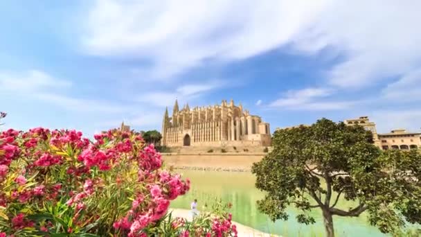 Zeitraffer Die Kathedrale Seu Auf Mallorca Spanien — Stockvideo