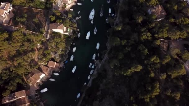 Antenne Die Bucht Von Cala Figuera Auf Mallorca Spanien — Stockvideo