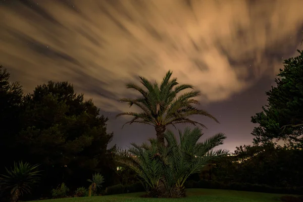 The garden under cloudy night sky, long exposure