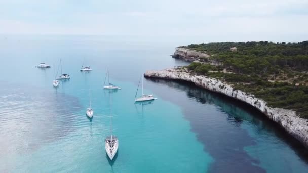 Aérien Plage Cala Mondrago Majorque Espagne — Video