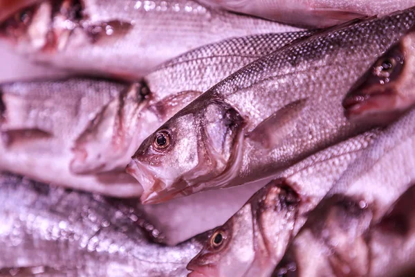 Fresh Fish Ice Market Place — Stock Photo, Image