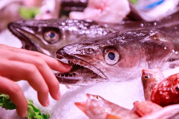 Finger Fish Mouth Market — Stock Photo, Image