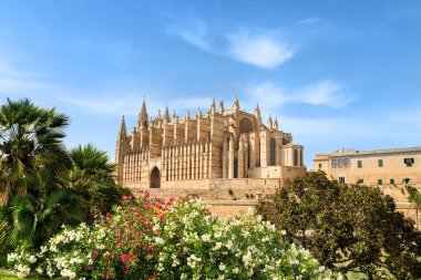 La seu Katedrali palma de Mallorca, İspanya