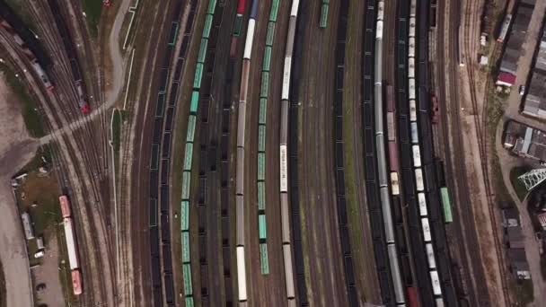 Aerial Freight Trains Depot — Stock Video