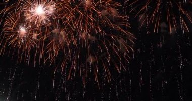 Fireworks gece gökyüzü arka planı göster