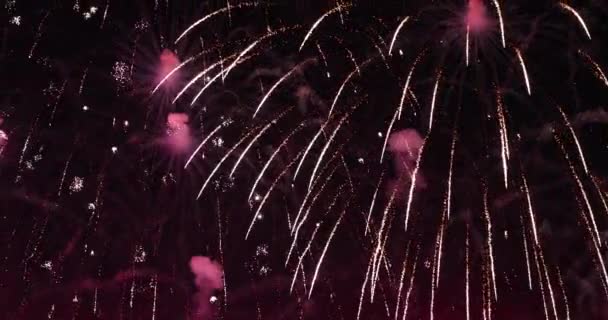Fireworks Show Background Night Sky — Stock Video