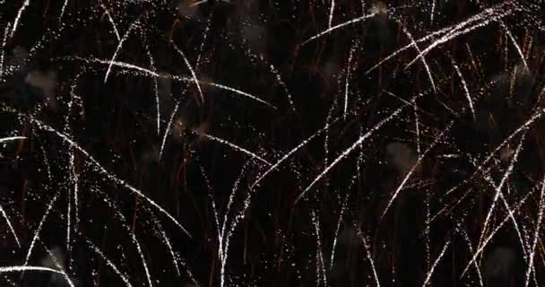 Tűzijátékok Háttérben Éjszakai Égbolt Térkép — Stock videók