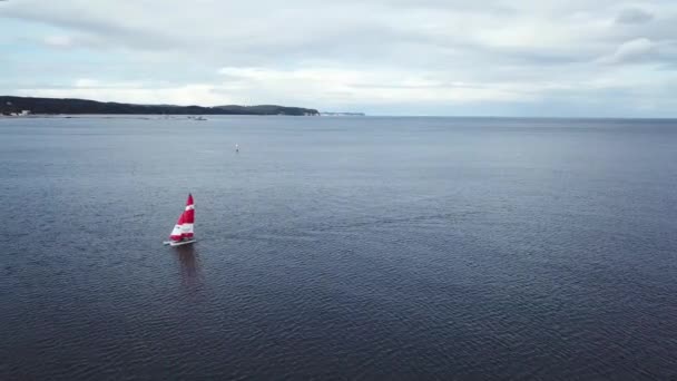 Sailing Boats Harbor Sopot Aerial View — Stock Video