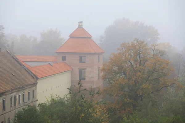 Castello Zhovkva Ucraina Nella Nebbia — Foto Stock