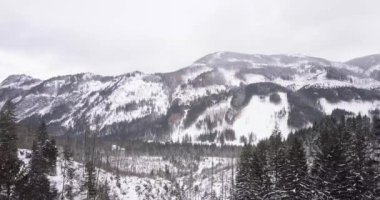 Havadan: Tatras dağlarında kış ormanı