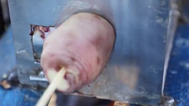 Rozdrabnianie Ziemniaków Głębokiego Smażenia — Wideo stockowe