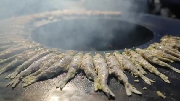 Smelt Fish Preparing Grill Outdoors — Stock Video