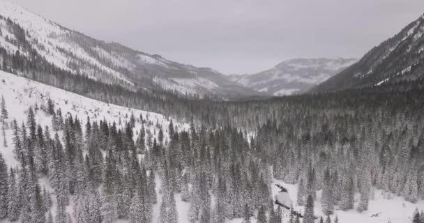 Aéreo Floresta Inverno Nas Montanhas Tatras — Vídeo de Stock