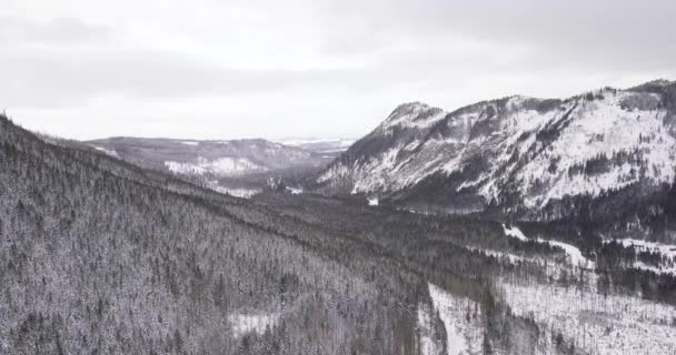 Antenn Vinter Skog Tatrabergen — Stockvideo
