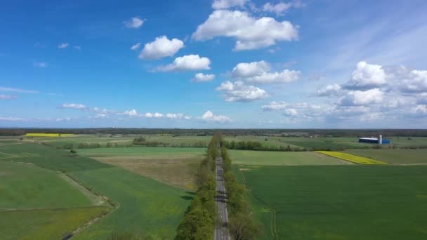 Volando Sobre Camino Del Campo Primavera — Vídeo de stock