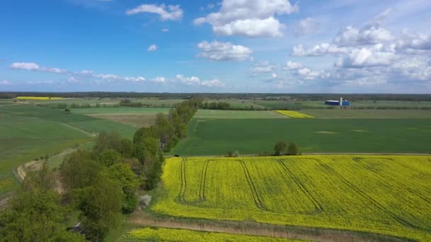 Aerial View Agricultural Fields Spring — Stock Video