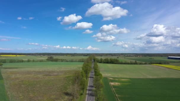 Voando Sobre Estrada País Primavera — Vídeo de Stock