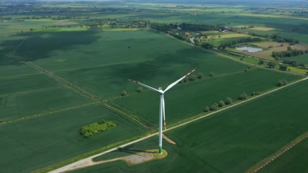 农业领域的风力发电站 — 图库视频影像